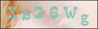 Registration Image