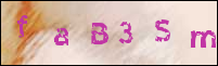 Registration Image