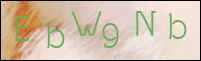 Registration Image