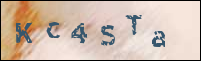 Registration Image