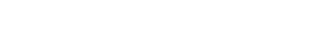 Evavise Motorsports logo.