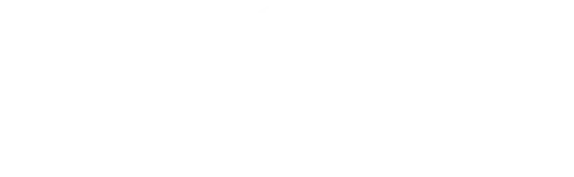 Borsheims logo