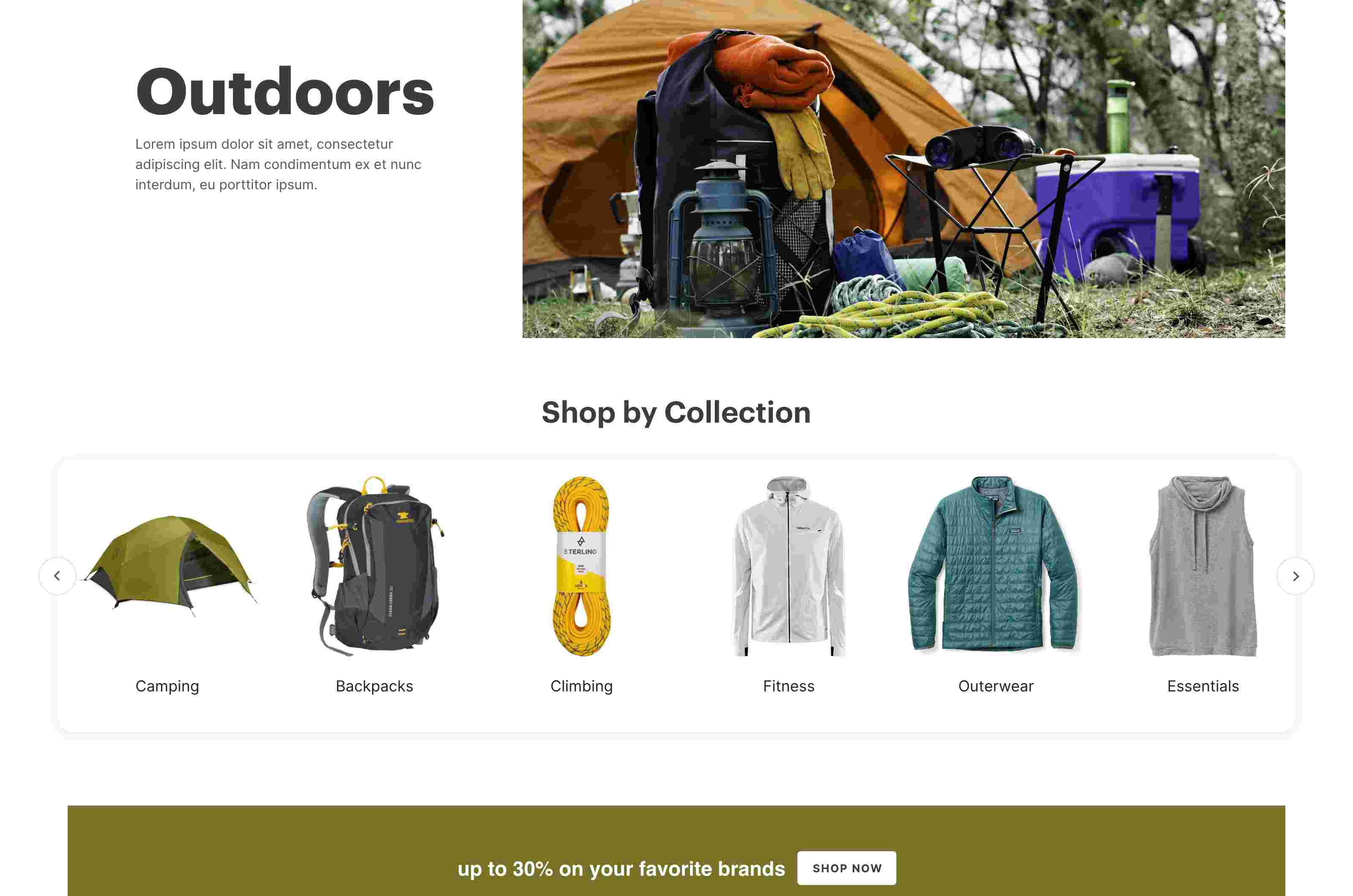 Screenshot of camping website.