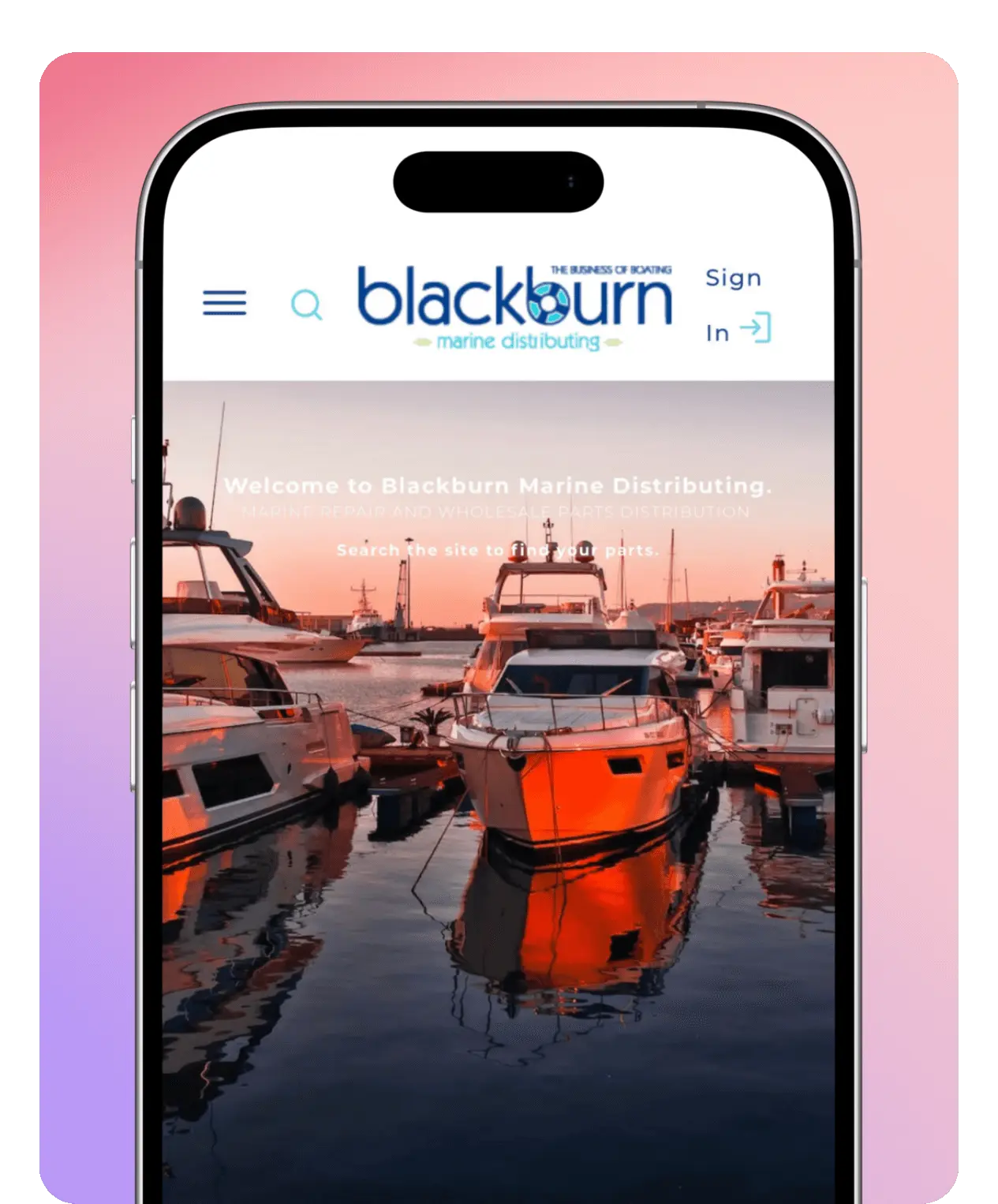 Screenshot of Blackburn Marine's website.