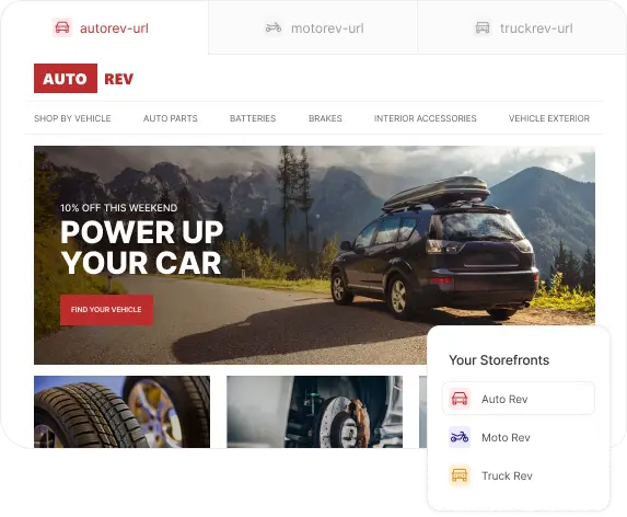 Image of a store home page with a selector showing the same storefront on multiple domains.